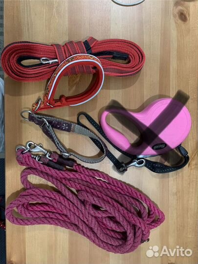 Поводок/ошейник