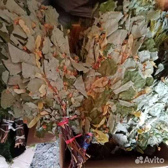 Веники Дуб, Пихта, Берёза