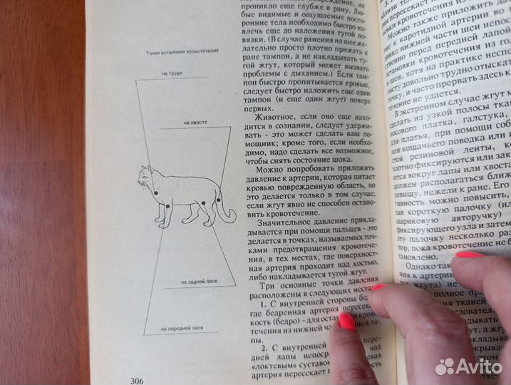 Книга о кошках