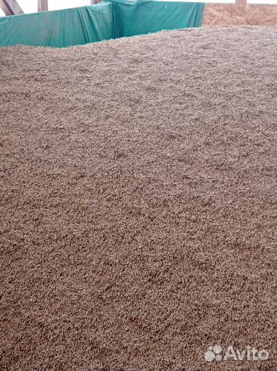 Продам ячмень, овёс,пшеницу