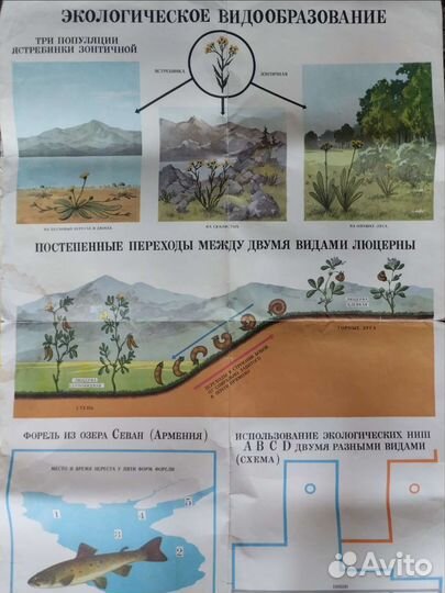 Советские плакаты 60ых