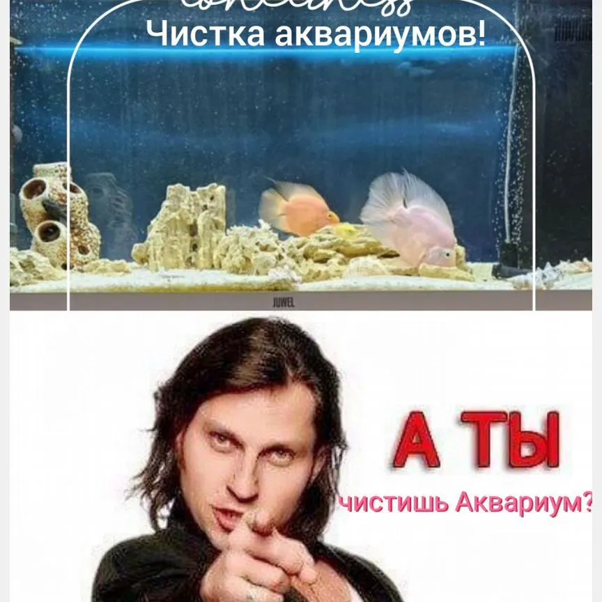 Уход за аквариумом, чистка