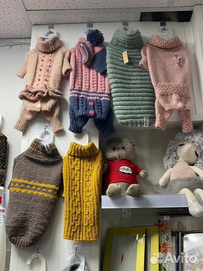 Одежда для собак