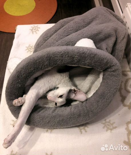 Лежак-нора для кошки\собаки