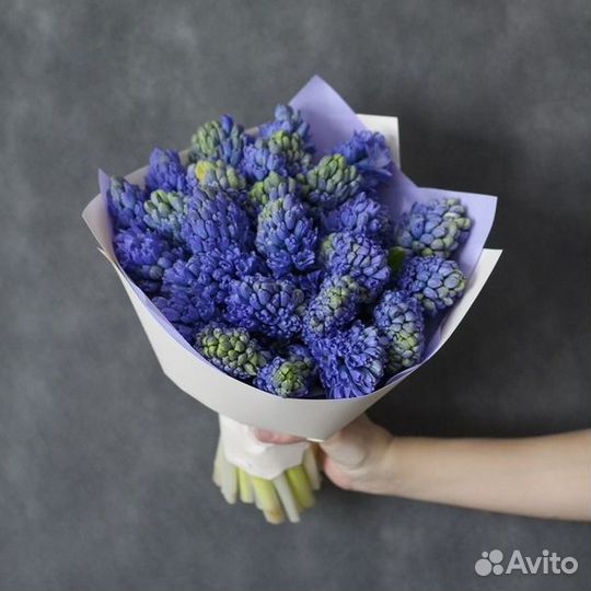 Букет из 25 Гиацинтов в матовой бумаге