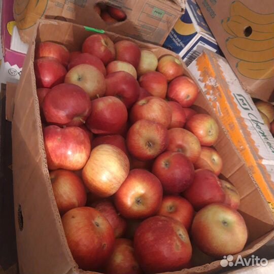 Яблоки