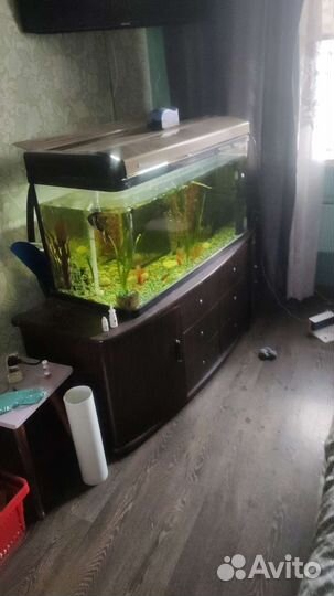 Аквариум