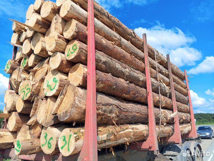 Лес кругляк пиловочник сосна