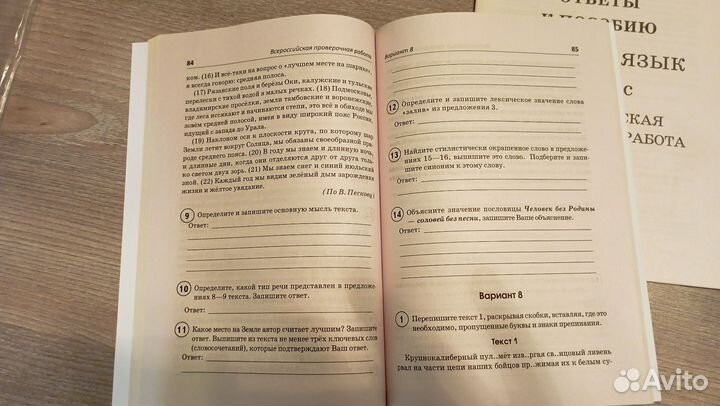 Русский язык 7 класс ВПР