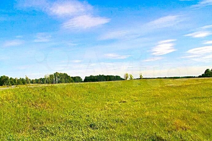 Участок 17 га (СНТ, ДНП)