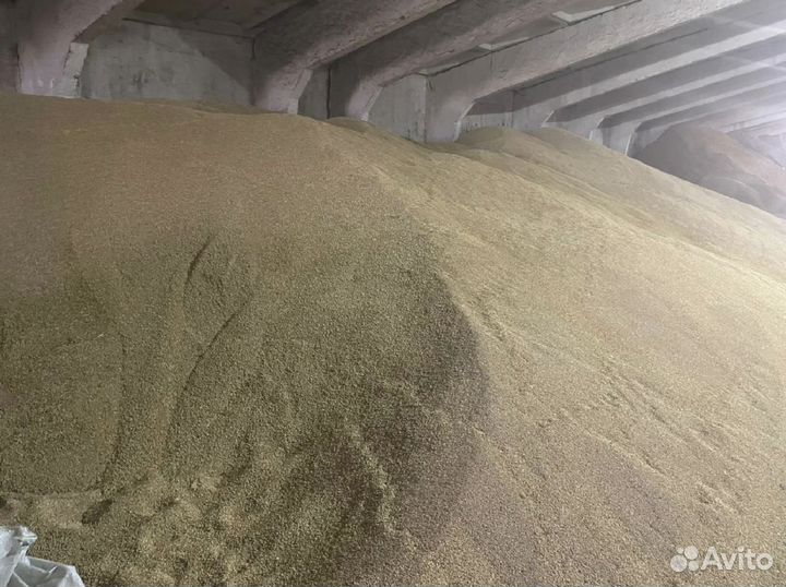 Зерно Ячмень