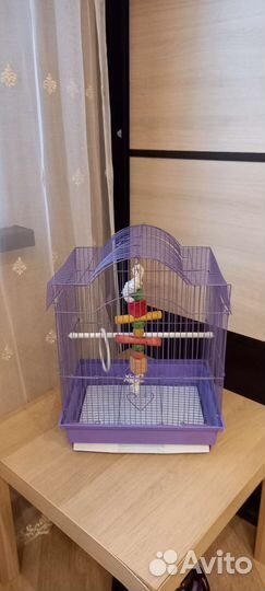 Клетка для попугая или канарейки