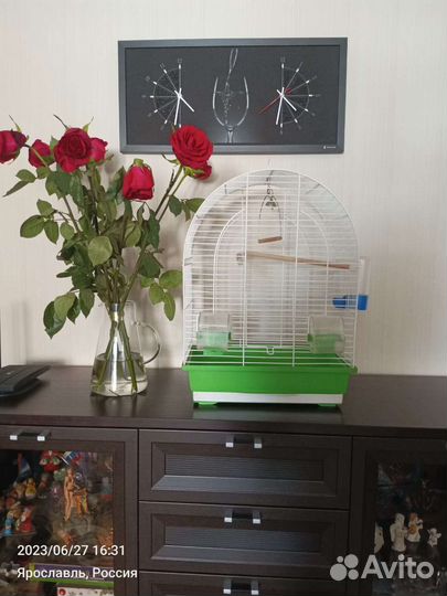 Клетка для попугая