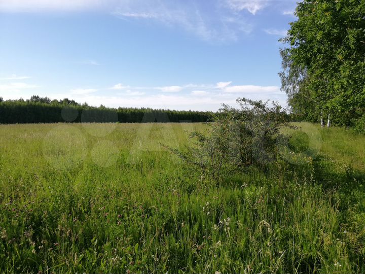 Участок 2,62 га (СНТ, ДНП)