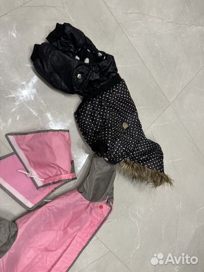 Одежда для шпица собаки