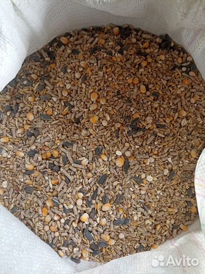 Зерносмесь для кур
