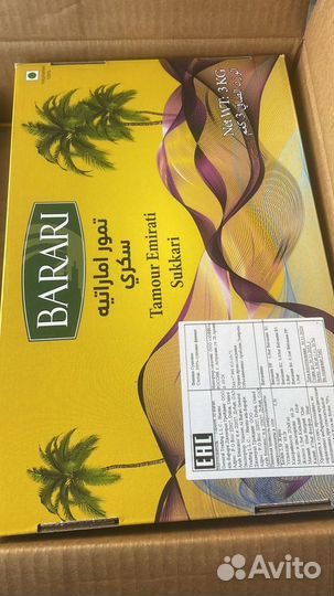 Финики суккар