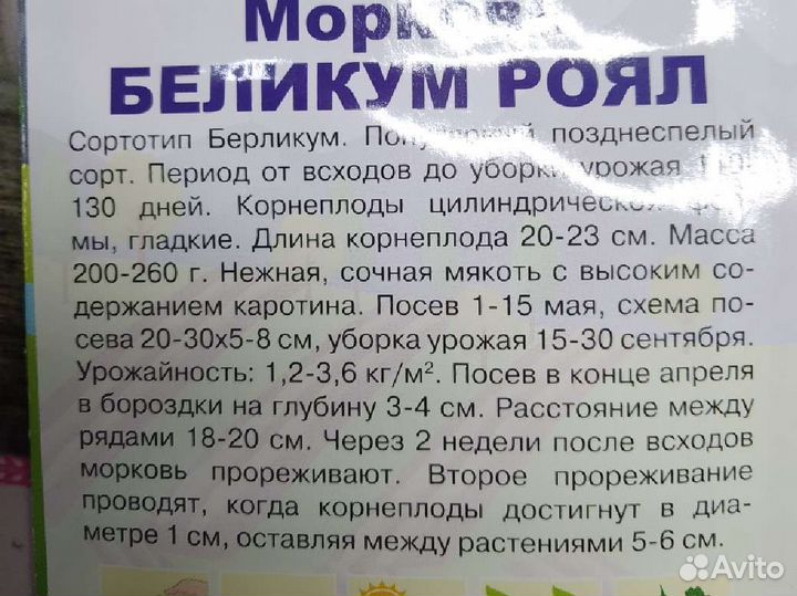 Семена моркови