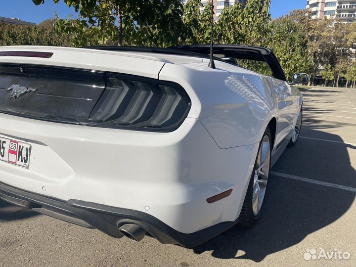 Аренда Mustang на фотосессию или свадьбу