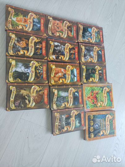 Коты-воители