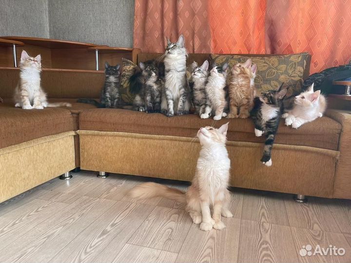 Угловой диван