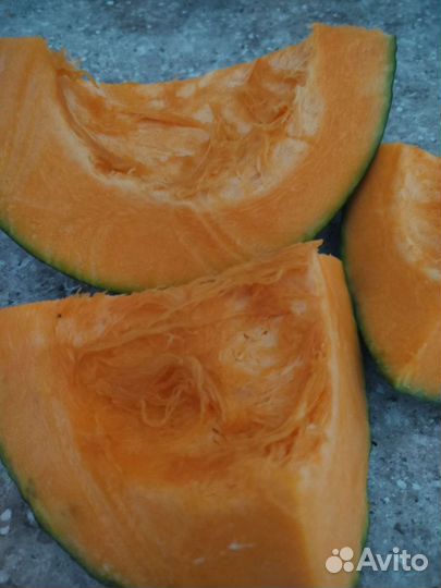 Тыква оптом
