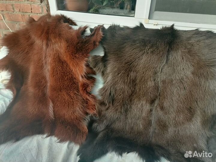 Выделка шкур