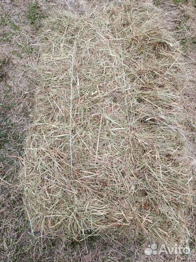 Сено в тюках