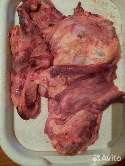 Мясо говядина для Животных