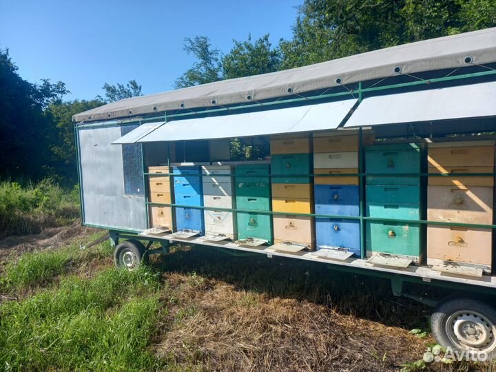 Пчелоприцеп Прицеп для пчел Улья Медогонка
