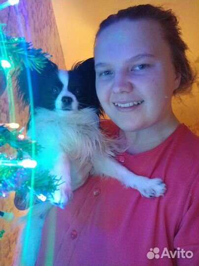 Няня / педагог / художник