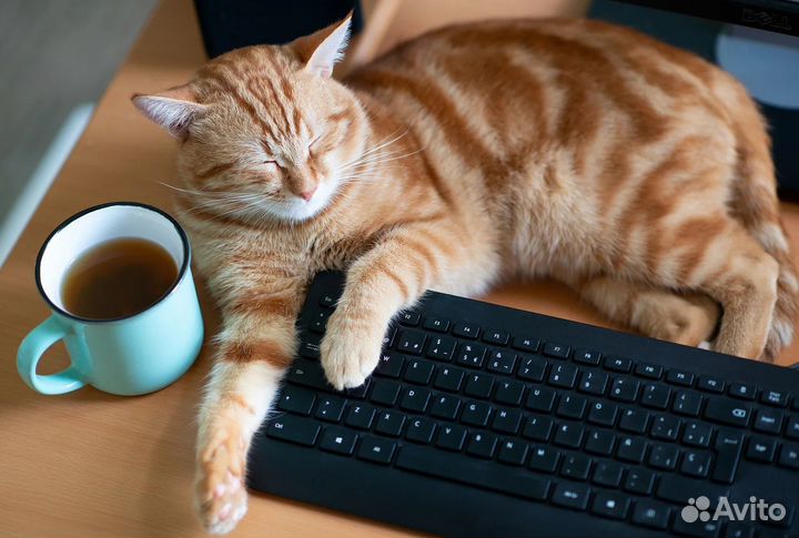 Несложная работа от 4 ч. Офис/дом. Оператор кц