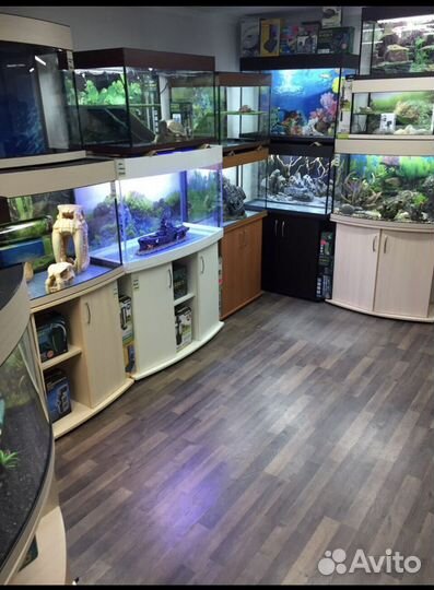 Аквариум для черепах