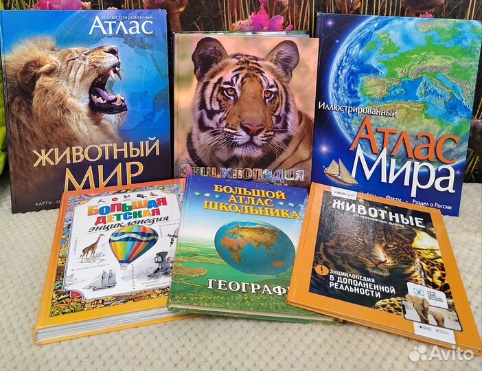 Детская энциклопедия