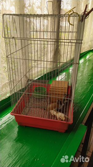 Клетка для хомяка