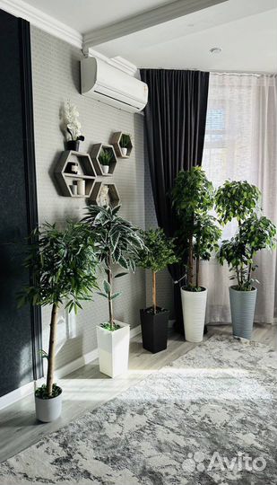 Искусственные растения для декора