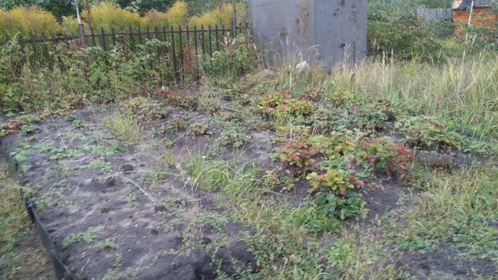 Участок 12 сот. (СНТ, ДНП)