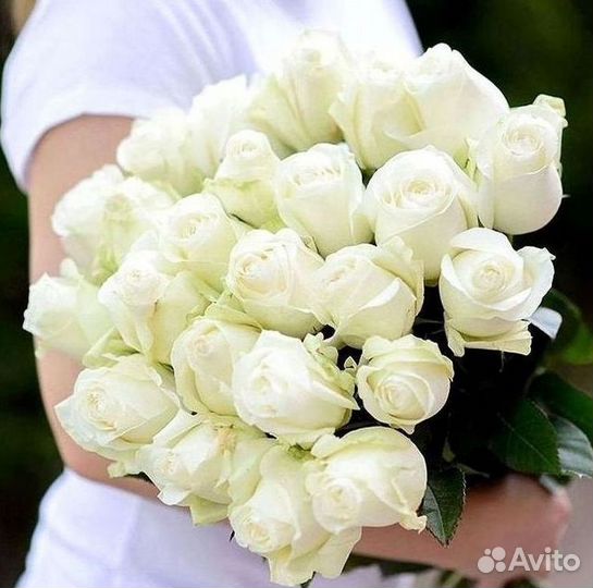 Розы Цветы Букеты 25 151 201 101 301 501 опт