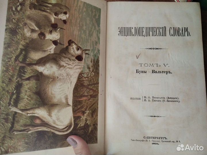 Брокгауз и Эфрон словарь