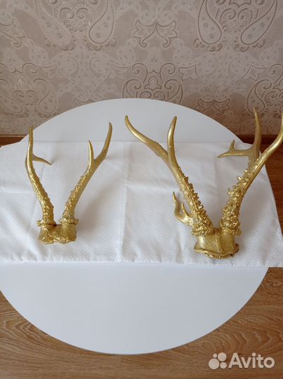 Оленьи рога настоящие