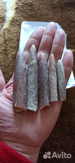 Белемниты,чёртов палец