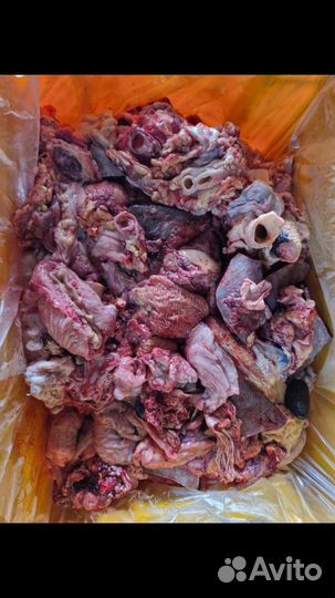 Мясо для собак,говяжьи субпродукты