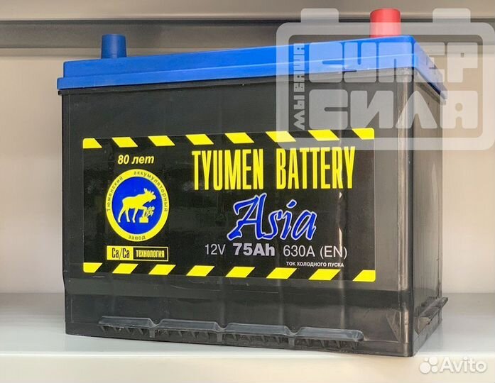 Аккумуляторы asia