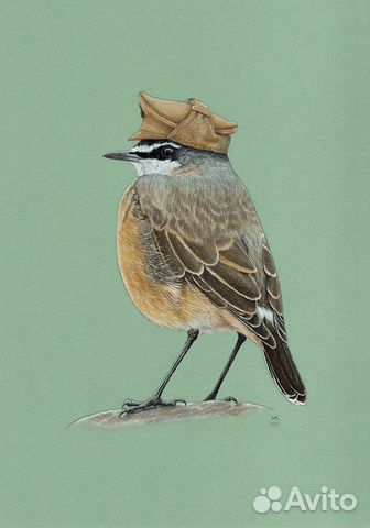 Рисунок пастелью 