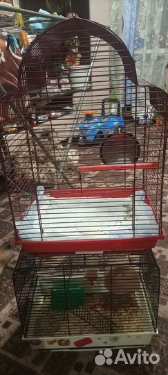 Клетка для попугая