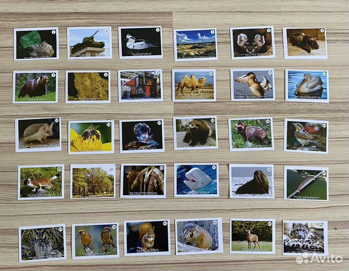 Наклейки Монетка (от Урала до Ямала)