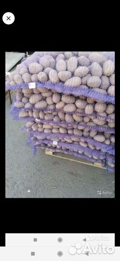 Доставка овощей