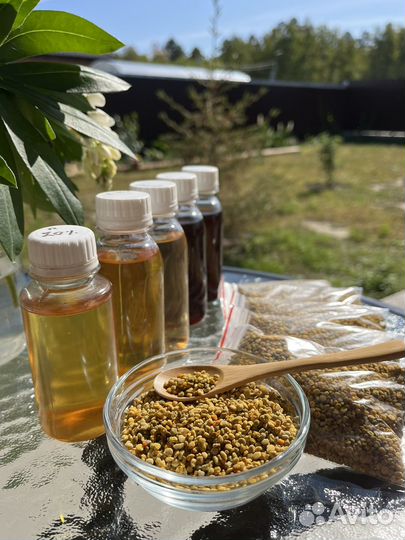 Пыльца цветочная