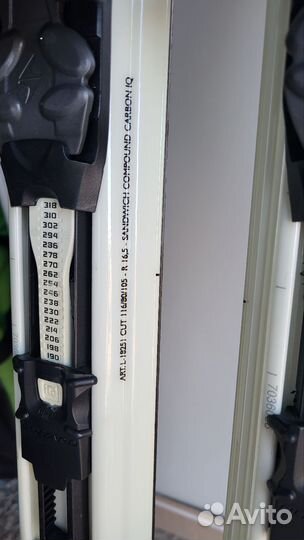 Горные лыжи