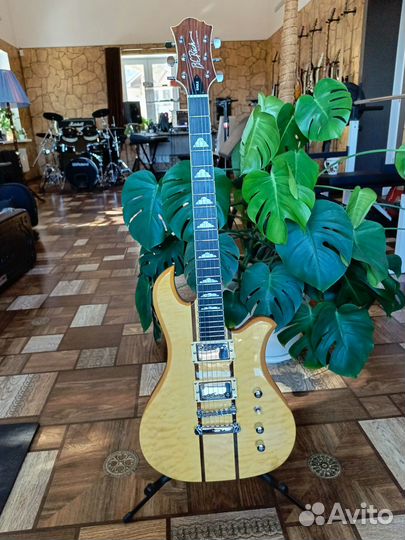 Электрогитара B.C. Rich Eagle NJ Classic series